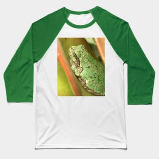 Succulent Tree Frog Baseball T-Shirt